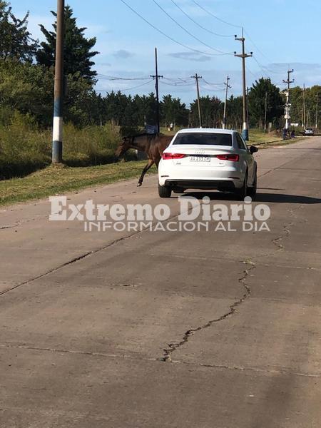 Las fotos fueron tomadas esta tarde