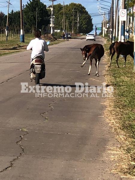 Las fotos fueron tomadas esta tarde