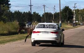 Camino al Rowing. Esta es una postal contin&uacute;a sobre calle An&iacute;bal Maffei.