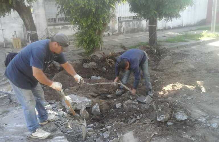 Imagen de Reparación de calles y bacheo