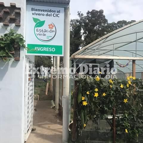 Pleno funcionamiento. El Vivero "Estación Verde" fue construído por las mujeres albañiles.