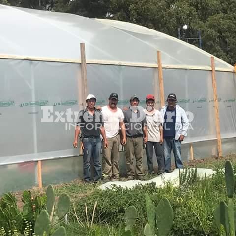 Los trabajadores del Vivero efectuaron el invernadero y trabajarán junto a las instituciones.