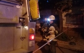 Al rescate. Los bomberos tambi&eacute;n lograron salvar a la mascota de la vecina.