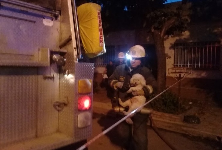 Al rescate. Los bomberos también lograron salvar a la mascota de la vecina.