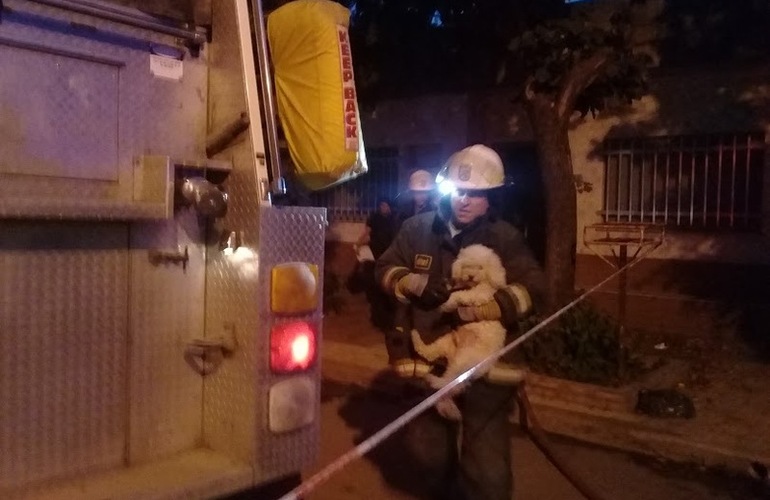 Al rescate. Los bomberos también lograron salvar a la mascota de la vecina.