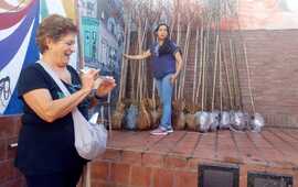 Imagen de Entrega de &aacute;rboles en el Centro Cultural