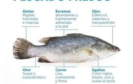 Imagen de Recomendaciones para el consumo de pescado