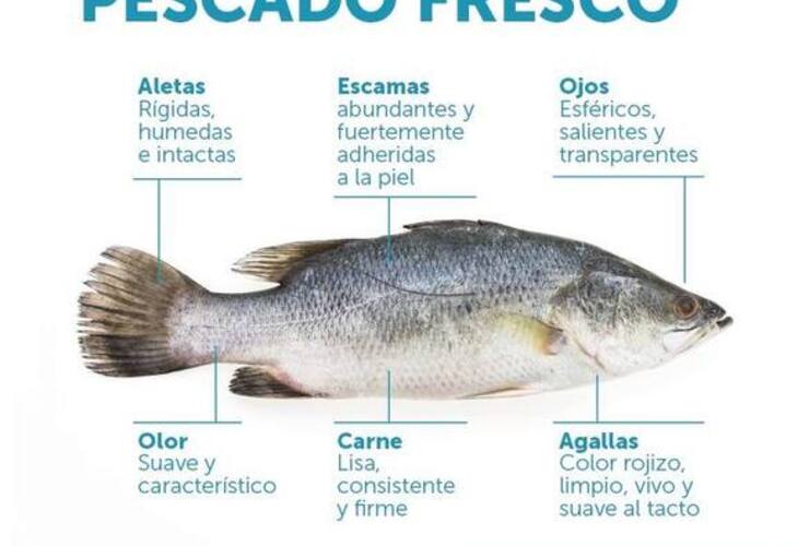 Imagen de Recomendaciones para el consumo de pescado