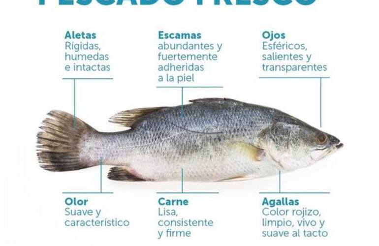 Imagen de Recomendaciones para el consumo de pescado
