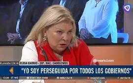 Imagen de Carrió, contra Bonfatti: Si los santafesinos quieren votar a Los Monos, voten por él