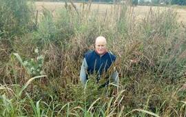 Los yuyos del canal casi alcanzan su altura