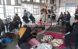 Imagen de Gran trabajo: Se realizaron 130 castraciones