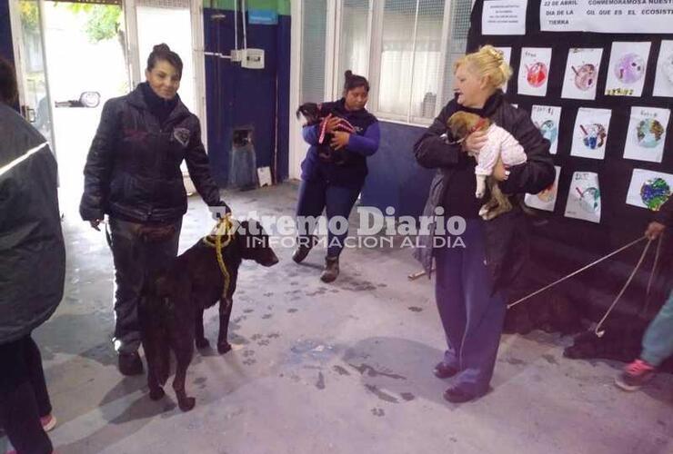 La actividad se realizó en el Polideportivo.