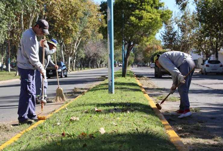 Imagen de Bacheo y embellecimiento en la zona sur