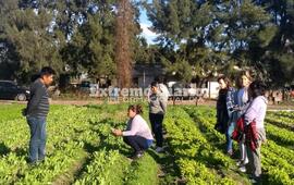Imagen de Visita a agricultores de Soldini