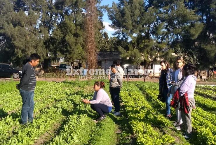 Imagen de Visita a agricultores de Soldini