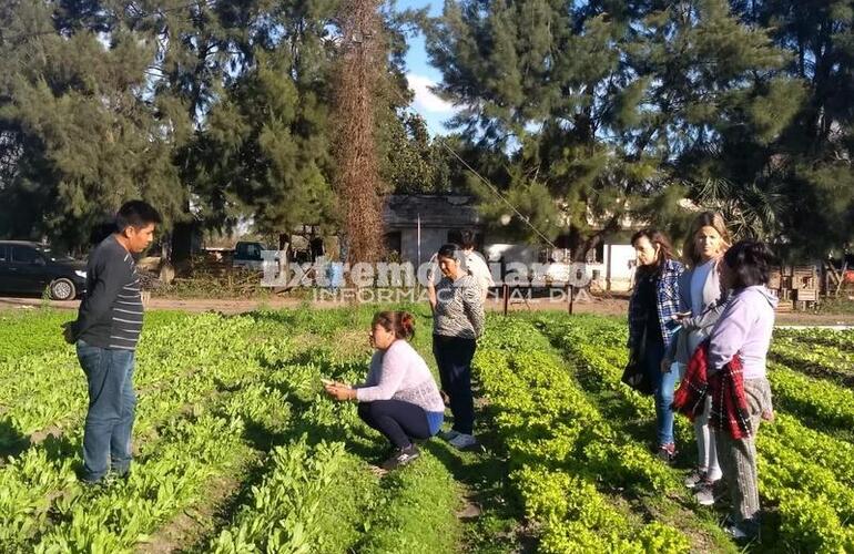 Imagen de Visita a agricultores de Soldini