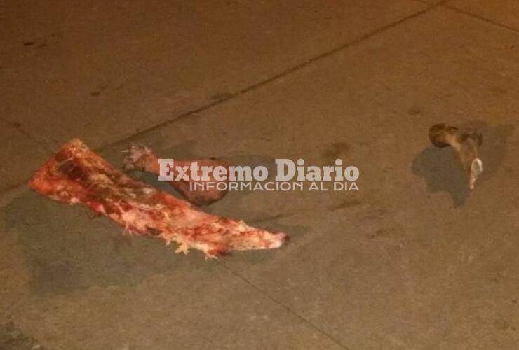 Una de las fotos que llegó a nuestro WSP: 3416570835