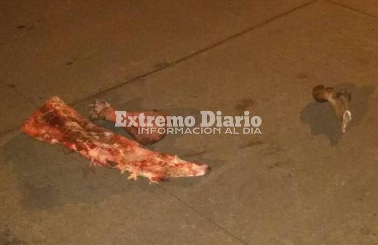 Una de las fotos que llegó a nuestro WSP: 3416570835