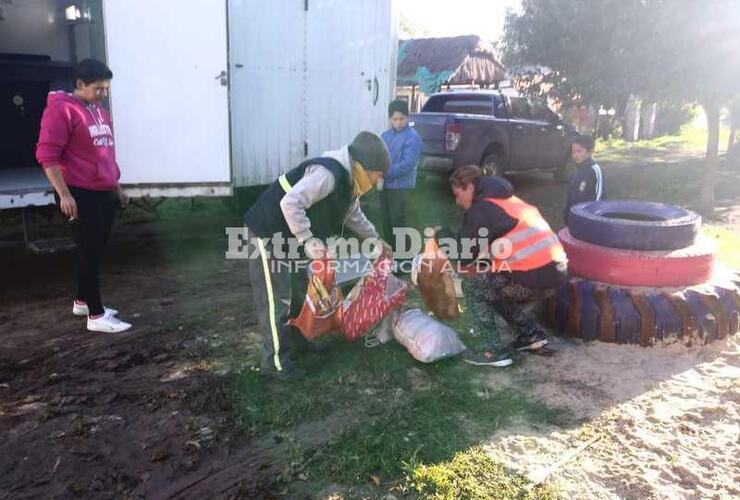 Unos veinte animales fueron esterilizados.