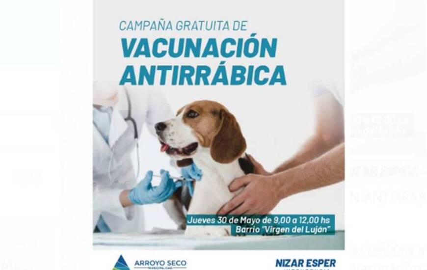 Imagen de Campa&ntilde;a gratuita de vacunaci&oacute;n antirr&aacute;bica para perros y gatos