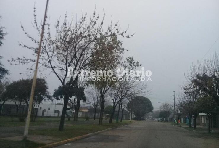 Imagen de Lunes con neblina y visibilidad reducida