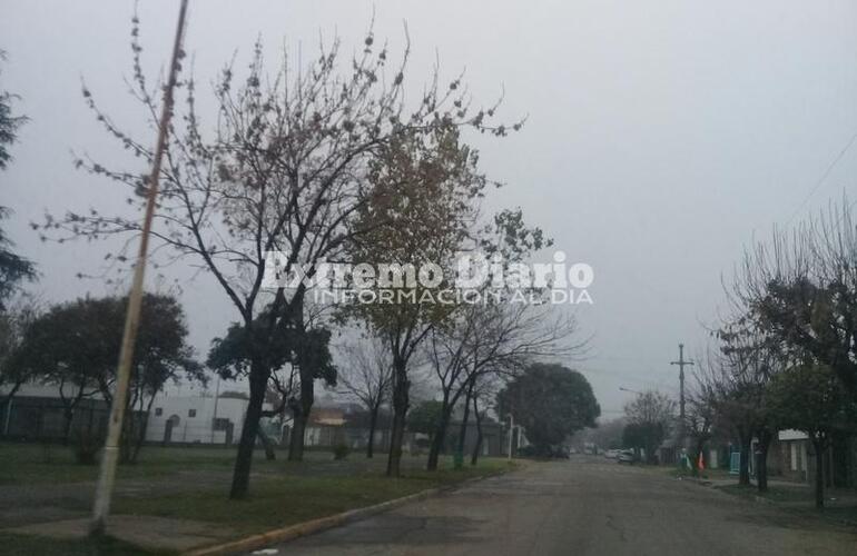 Imagen de Lunes con neblina y visibilidad reducida