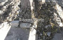 Imagen de Barrio San Francisco y el reclamo en fotos