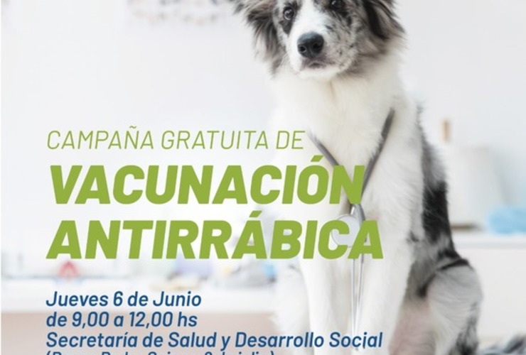 Imagen de Este jueves nueva jornada de vacunaci&oacute;n antirr&aacute;bica