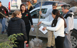 Foto: Municipalidad