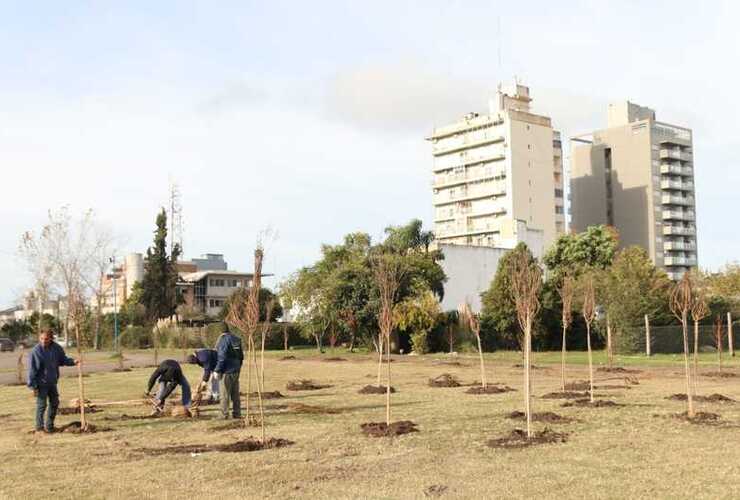 Foto: Municipalidad