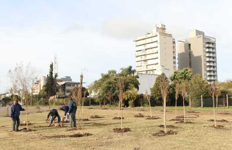 Foto: Municipalidad