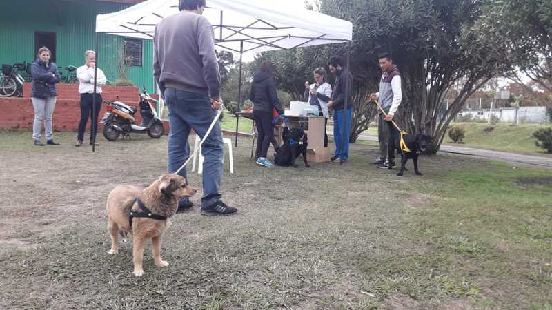Foto: Municipalidad