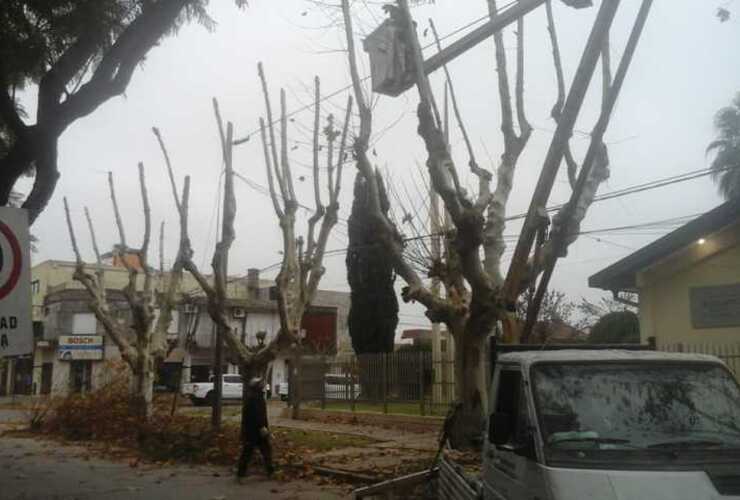Foto: Municipalidad