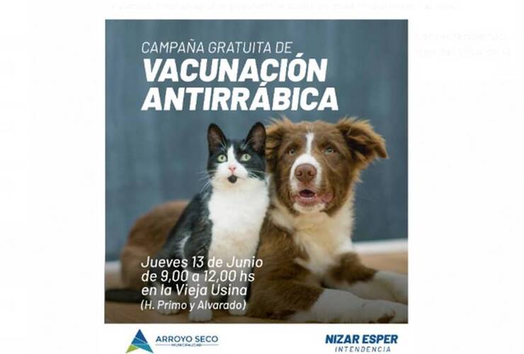 Imagen de Campaña gratuita de vacunación antirrábica para perros y gatos