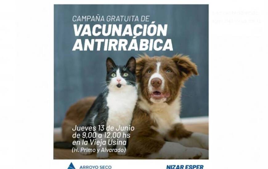 Imagen de Campa&ntilde;a gratuita de vacunaci&oacute;n antirr&aacute;bica para perros y gatos