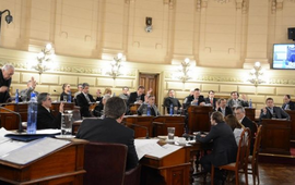 Cámara alta. Los ocho senadores del FPCyS aspiran a no repetir lo ocurrido en Diputados, donde la reforma constitucional está empantanada.