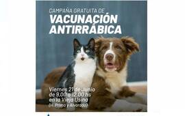 Imagen de Campa&ntilde;a gratuita de vacunaci&oacute;n antirr&aacute;bica