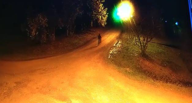 Foto: captura de pantalla video WhatsApp