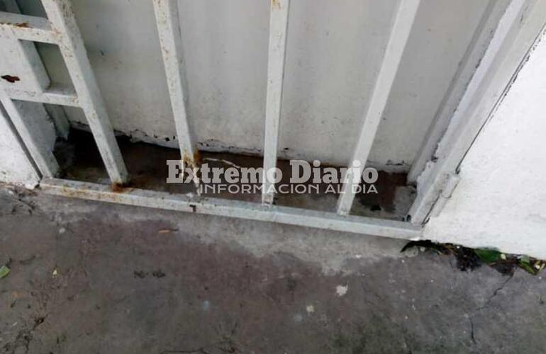 Imagen de Intento de robo en el kiosco de la Plaza San Mart&iacute;n