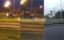 Los vecinos se preocupan por los equinos sueltos.