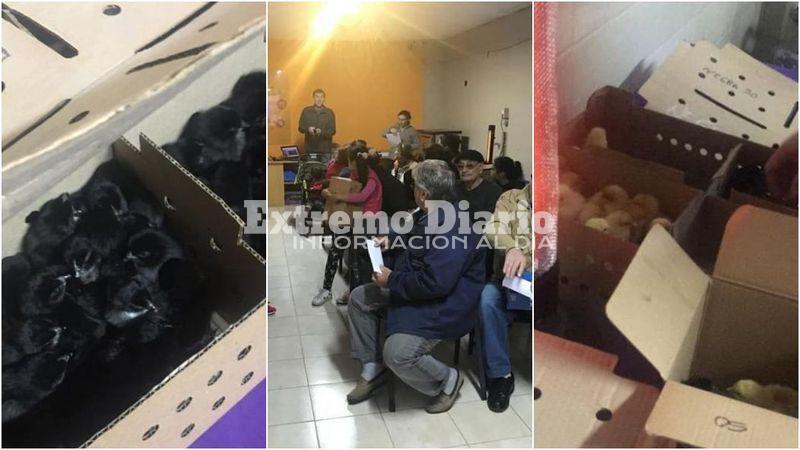 Es para cr&iacute;a a escala familiar.