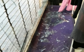 Imagen de Le rompen la vidriera a un negocio y le sustraen mercadería