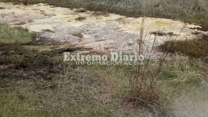 Imagen de &iquest;Qu&eacute; es?: Misterioso l&iacute;quido amarillo al costado de la ruta