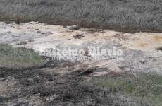 Imagen de Sobre el líquido amarillo al costado de la ruta: Es grasa de pollo y no es contaminante