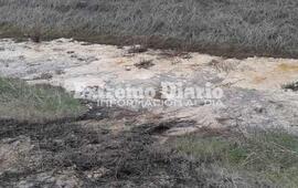 Imagen de Sobre el l&iacute;quido amarillo al costado de la ruta: �Es grasa de pollo y no es contaminante�