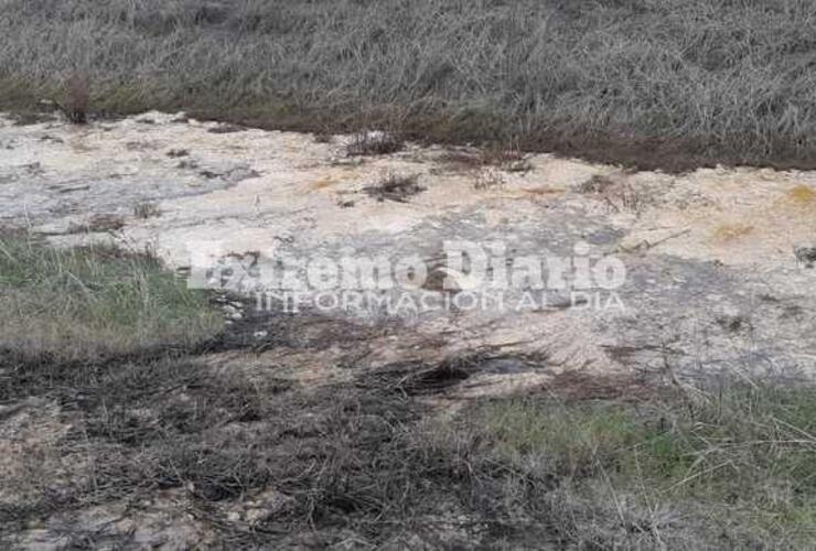 Imagen de Sobre el líquido amarillo al costado de la ruta: Es grasa de pollo y no es contaminante