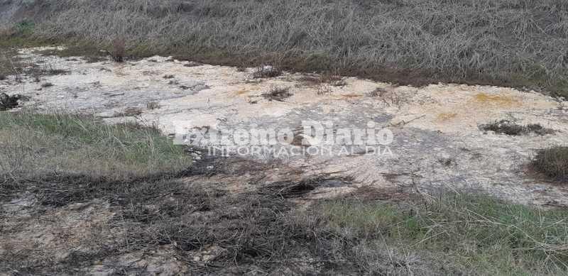 Imagen de Sobre el líquido amarillo al costado de la ruta: Es grasa de pollo y no es contaminante
