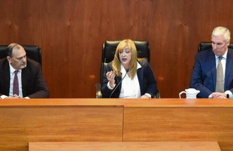 El tribunal integrado por los jueces Marcela Canavesio, Carlos Leiva y Rodolfo Zvala emitió un fallo por mayoría. Silvina Salinas