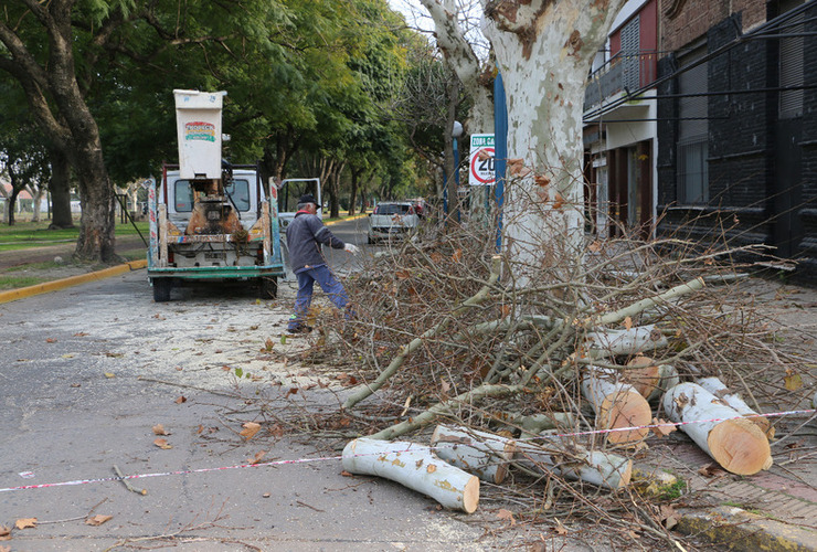 Foto: Municipalidad